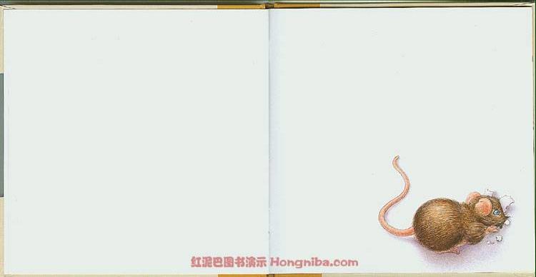 颜色 (03),绘本,绘本故事,绘本阅读,故事书,童书,图画书,课外阅读